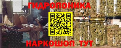 шишки Владивосток
