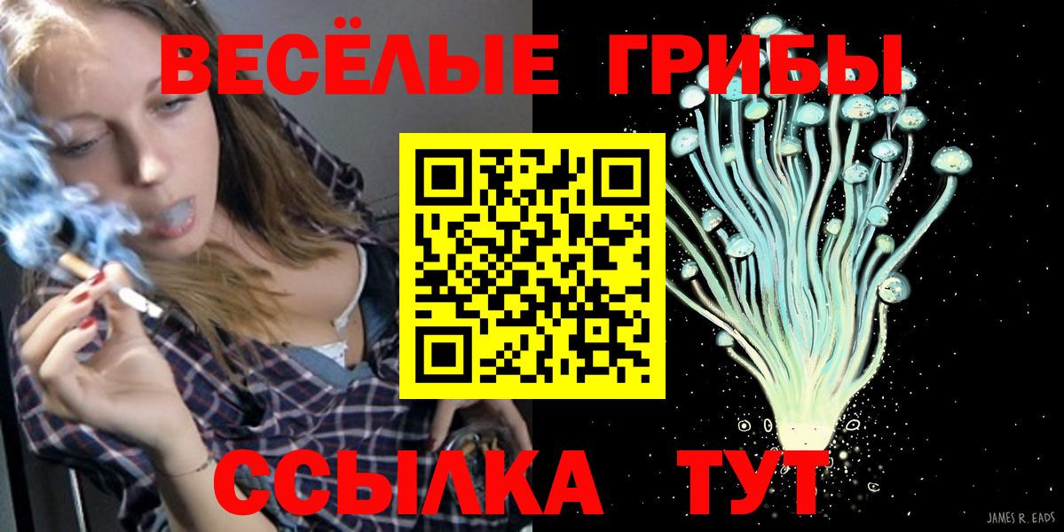 Псилоцибиновые грибы мухоморы Томск