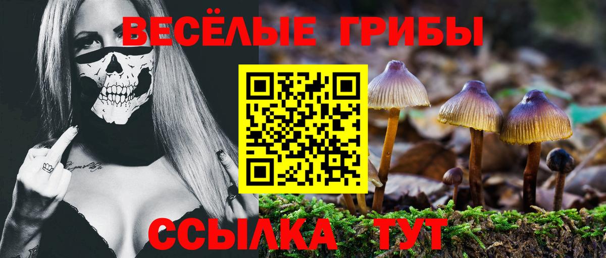 Томск  Псилоцибиновые грибы мухоморы  где купить наркоту  Вход с VPN 
